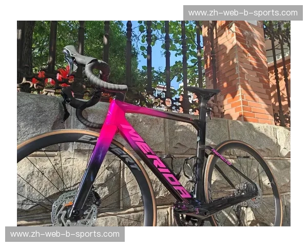 公路车注册:守护你的骑行自由与价值 公路车注册:守护你的骑行自由与价值